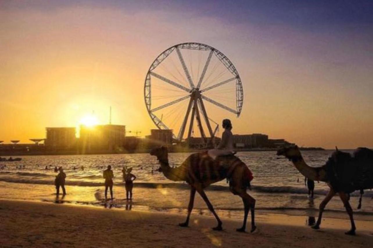 Seaview Beach Hostel Jbr - Walk To Beach - Gym - Pool - Metro Station Dubai Exteriör bild
