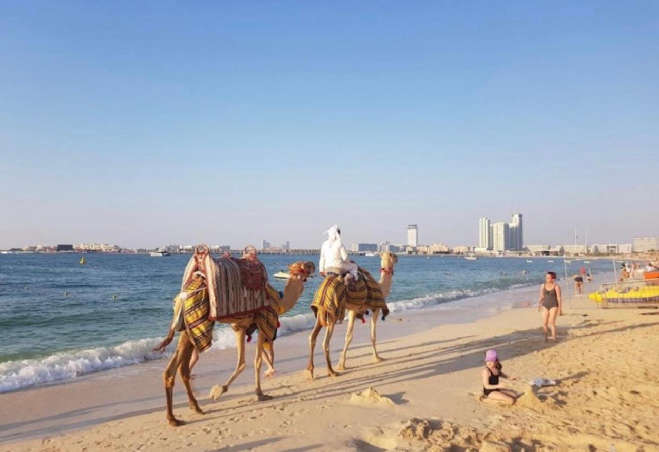 Seaview Beach Hostel Jbr - Walk To Beach - Gym - Pool - Metro Station Dubai Exteriör bild